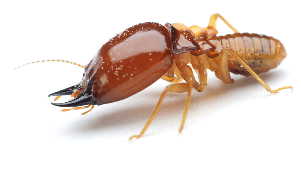 4313d4ac-45fa-4bb9-978c-afa9e106c673